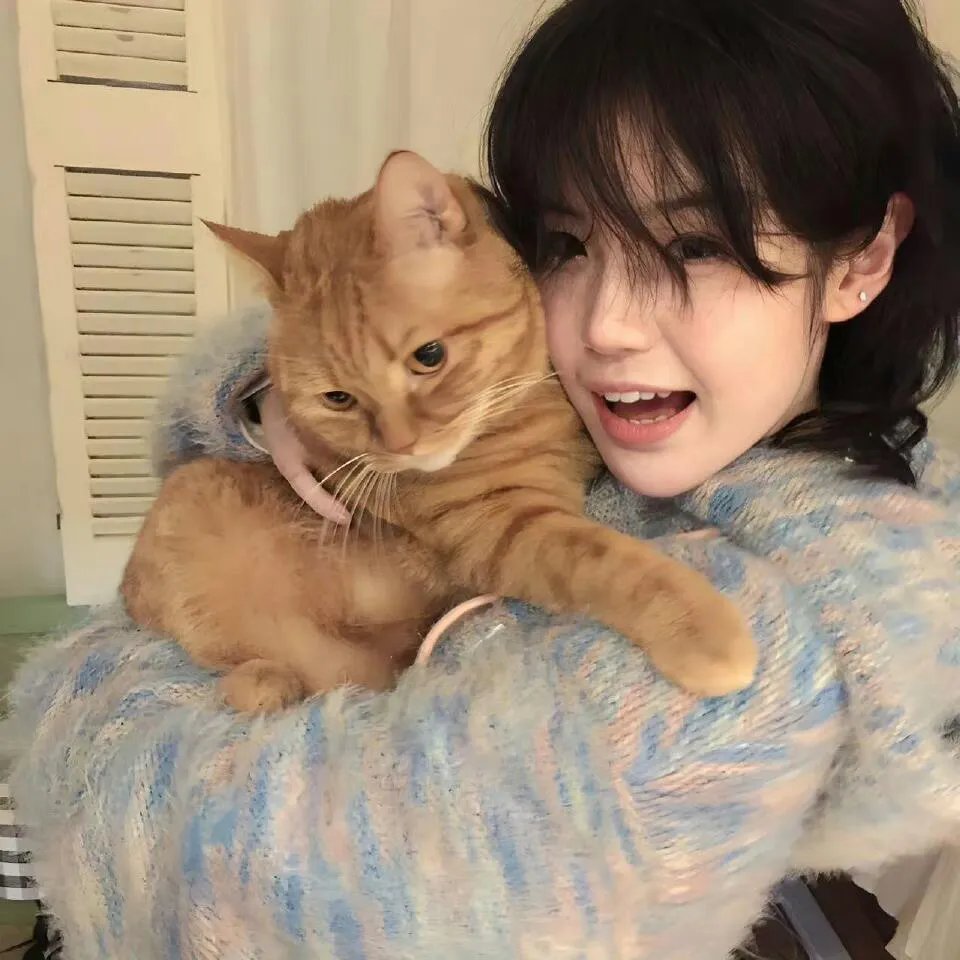 穿成反派，我要干翻镇北王